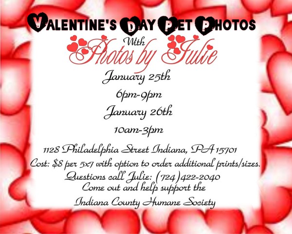 Valentine's Day Pet Photos with Photos by Julie