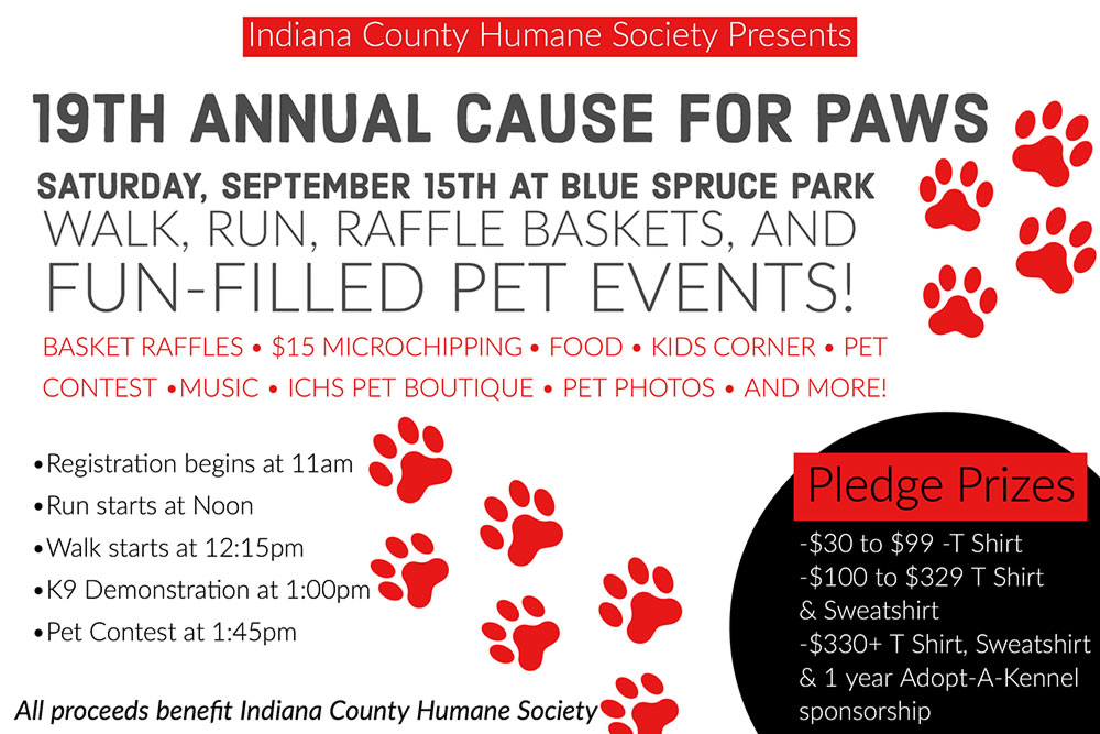 Cause For Paws Indiana County Humane Society