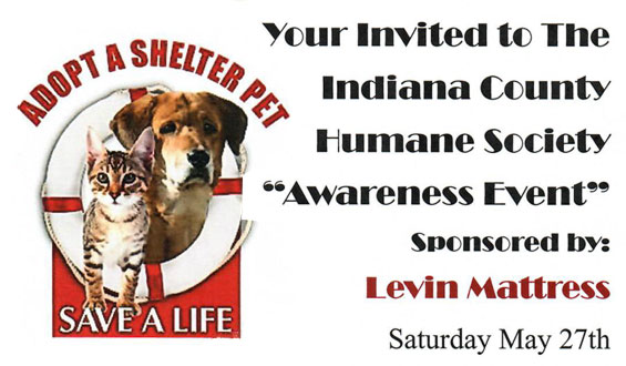 Indiana County Pennsylvania Humane Society Indiana county pennsylvania humane society