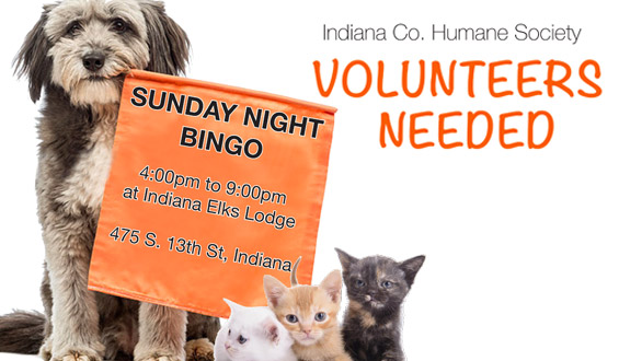 Indiana County Pennsylvania Humane Society Indiana county pennsylvania humane society