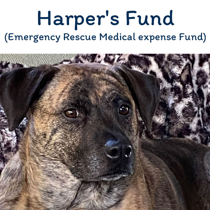 Harpers Fund
