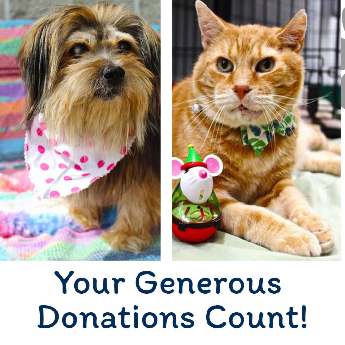 Your-Generous-Donations-Count – Indiana County Humane Society