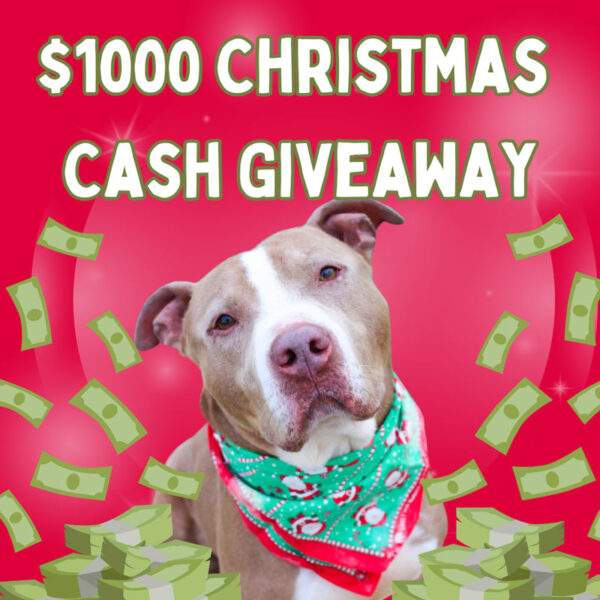 $1000 Christmas Cash Giveaway