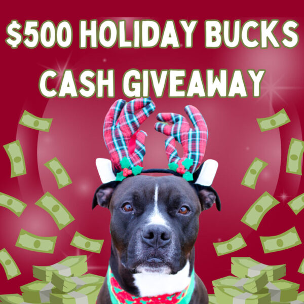 $500 Holiday Bucks Cash Giveaway