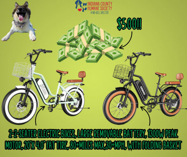2 Electric Bikes and $500!
