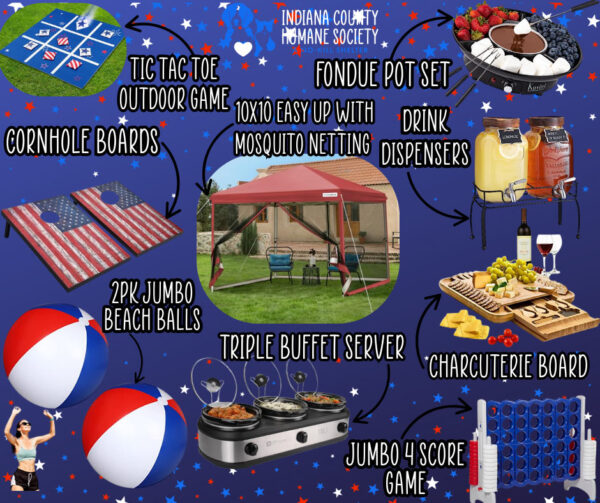 Summer Party Package