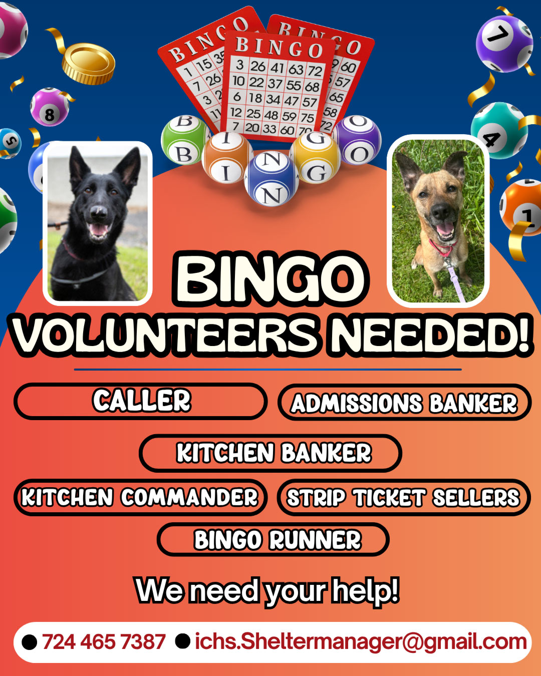 Bingo-Vol-Flyer