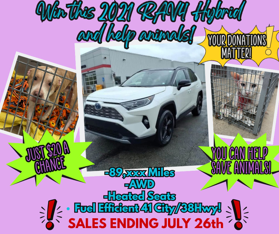 RAV4