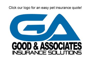 G&A-Logo-call-to-action